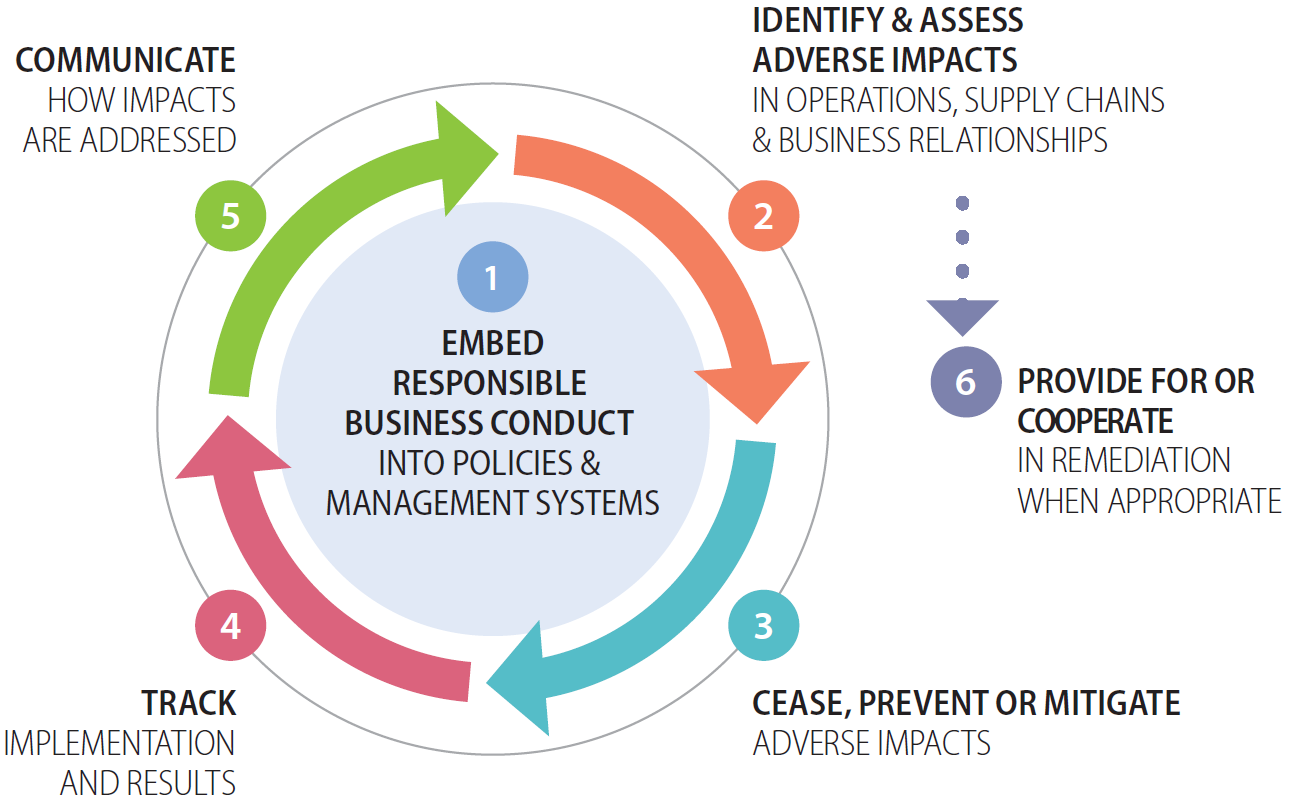 A circular flow chart presenting a due diligence process in six stages; detailed description below